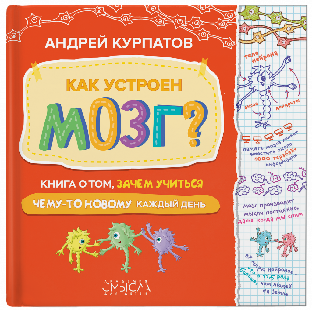 Как устроен мозг.png